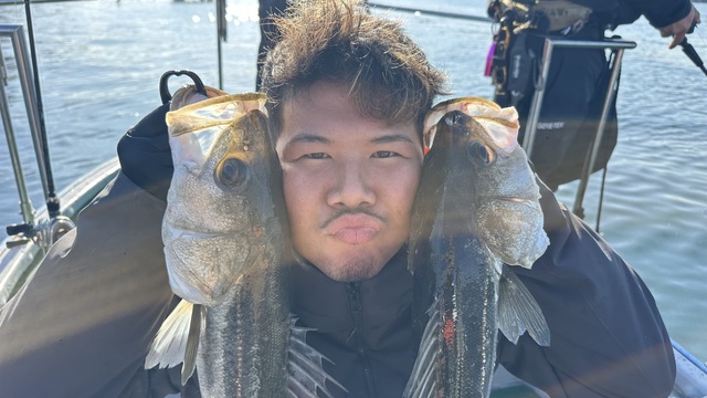 シーバス(スズキ)