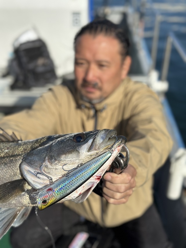 シーバス(スズキ)