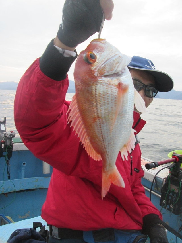 レンコ(キダイ)