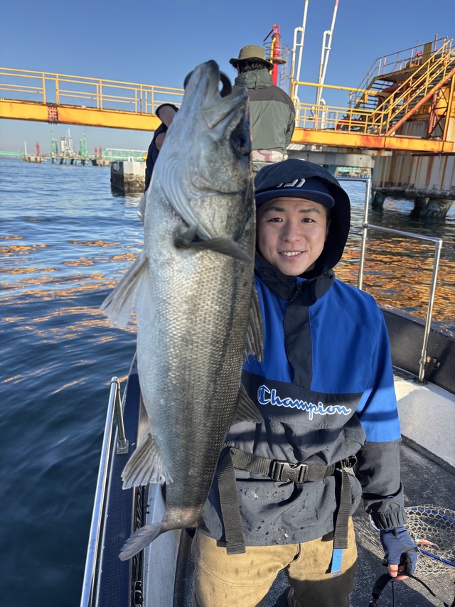 シーバス(スズキ)