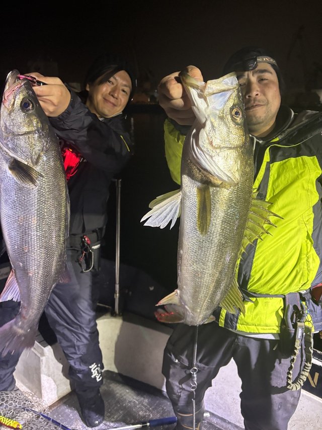 シーバス(スズキ)