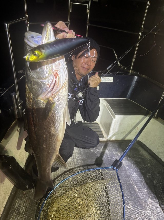 シーバス(スズキ)