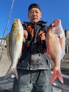 マダイ・イサキ