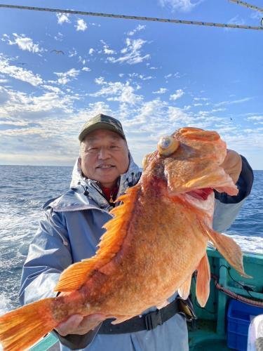 ウッカリカサゴ