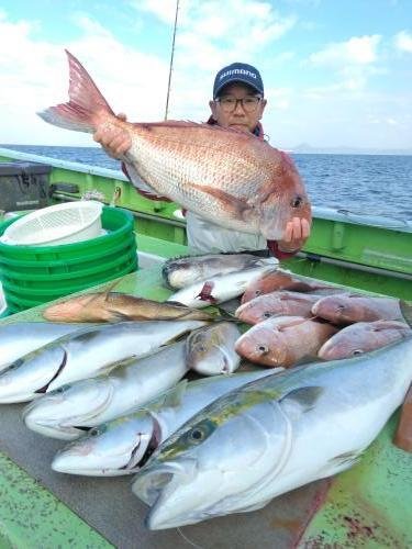 マダイ・イナダ(ブリ)・ワラサ(ブリ)
