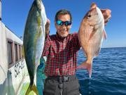 マダイ・イナダ(ブリ)