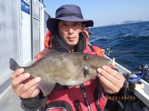ウマヅラ(ウマヅラハギ)