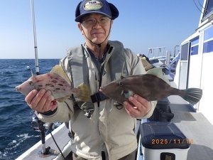 カワハギ・ウマヅラ(ウマヅラハギ)