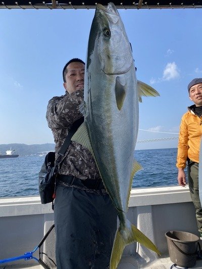 ハマチ(ブリ)
