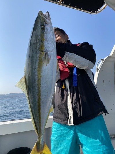 ハマチ(ブリ)