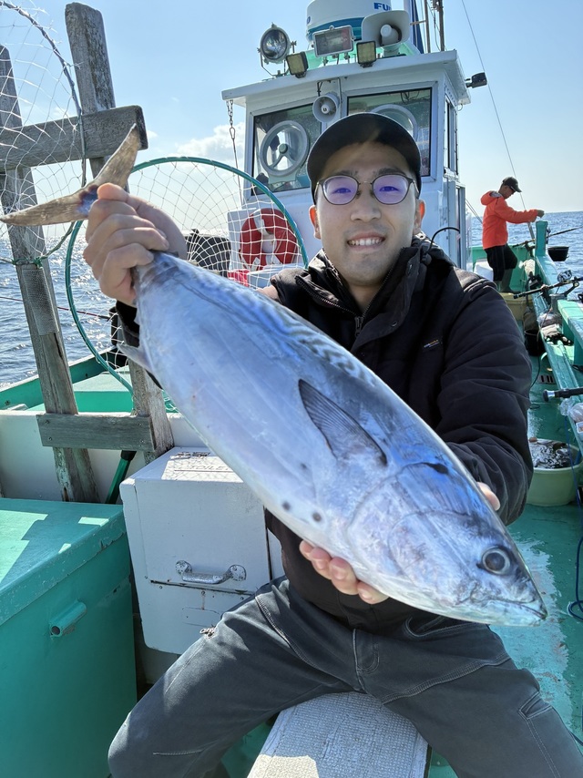 スマガツオ(スマ)