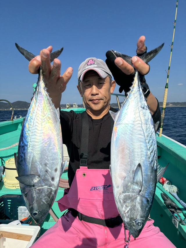 スマガツオ(スマ)