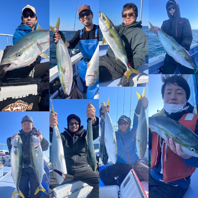 ブリ・ワラサ(ブリ)