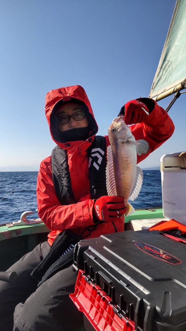 アマダイ(アカアマダイ)