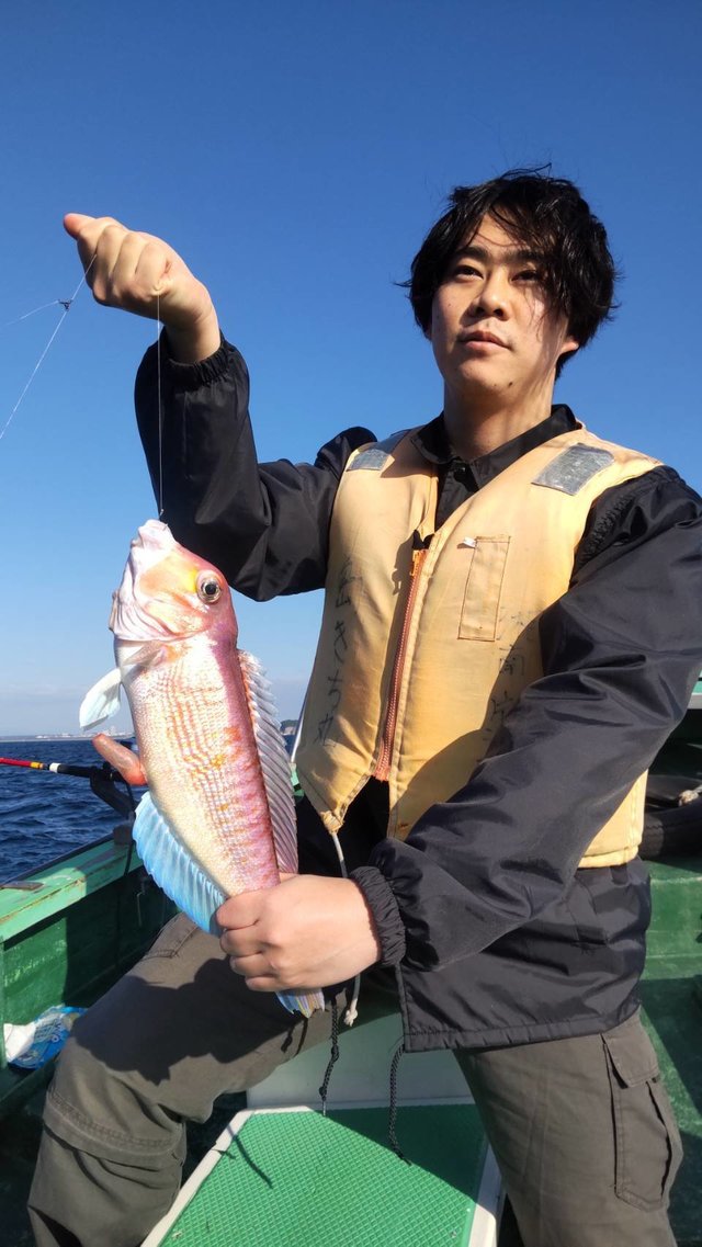 アマダイ(アカアマダイ)