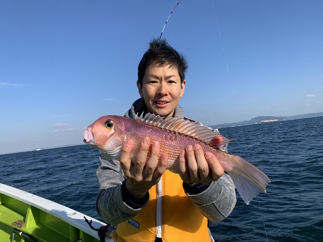 アマダイ(アカアマダイ)