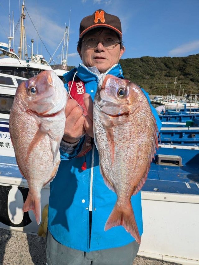 ハナダイ(チダイ)