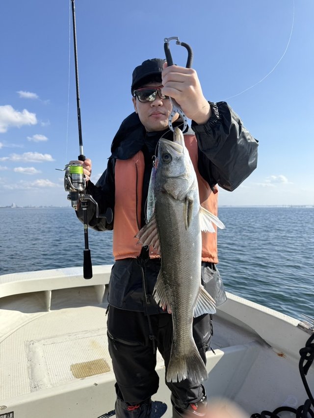 シーバス(スズキ)