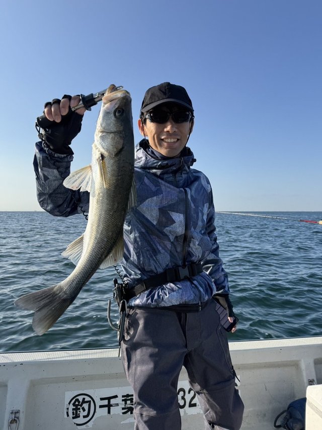 シーバス(スズキ)