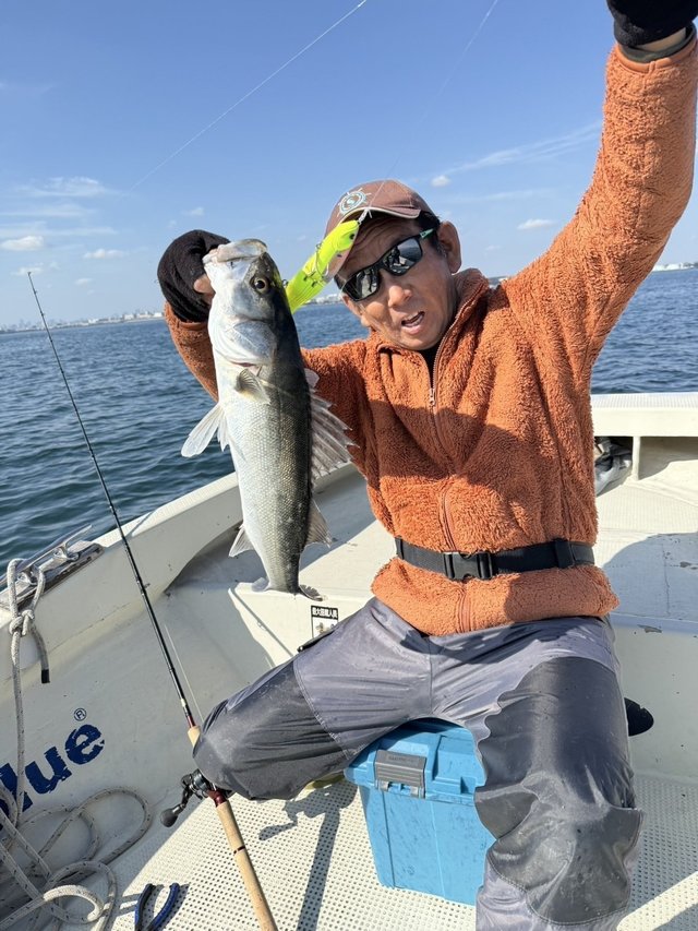 シーバス(スズキ)