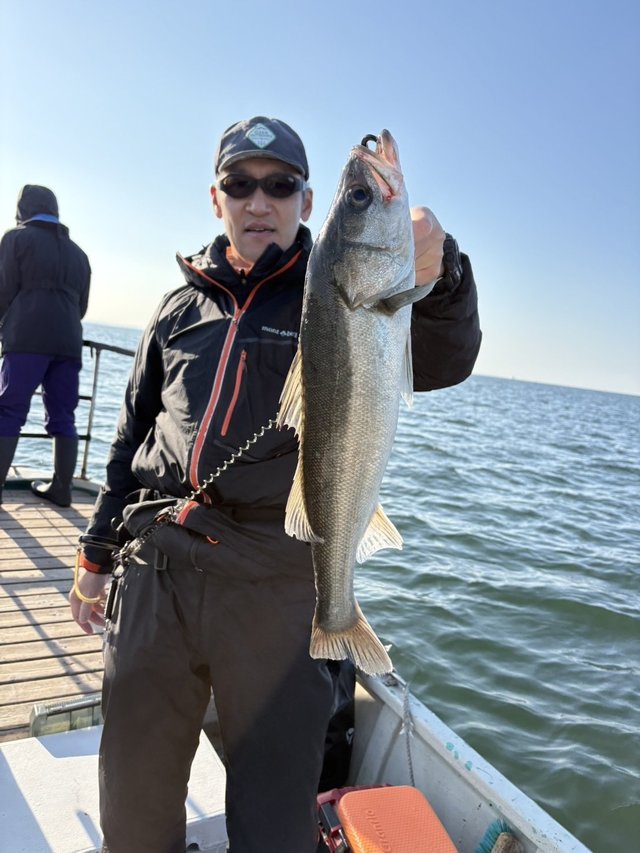 シーバス(スズキ)