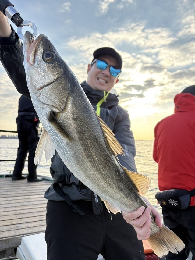 シーバス(スズキ)