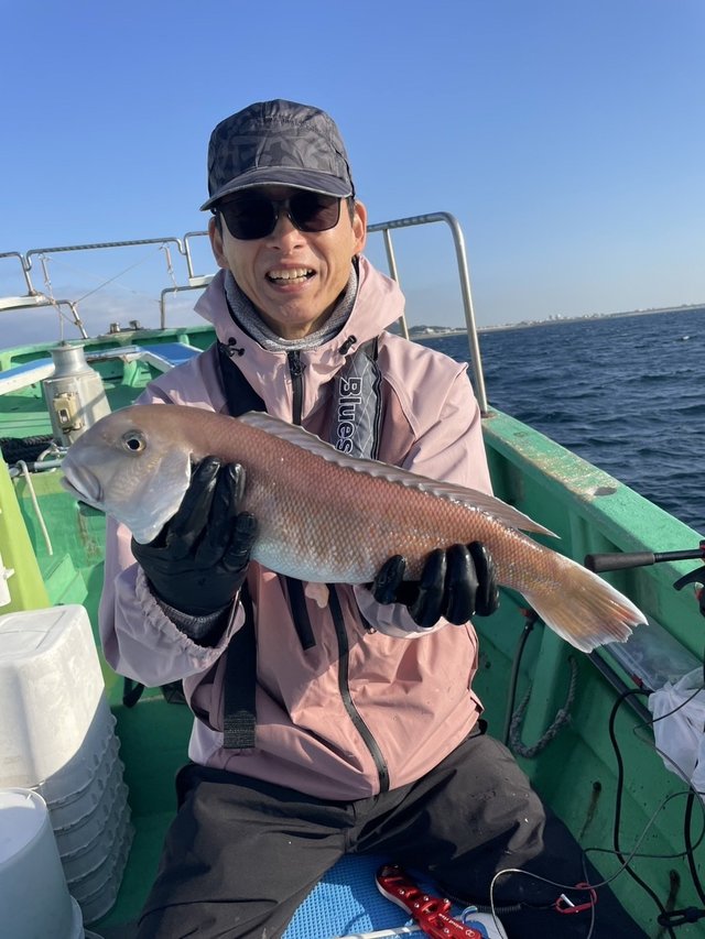 アマダイ(アカアマダイ)