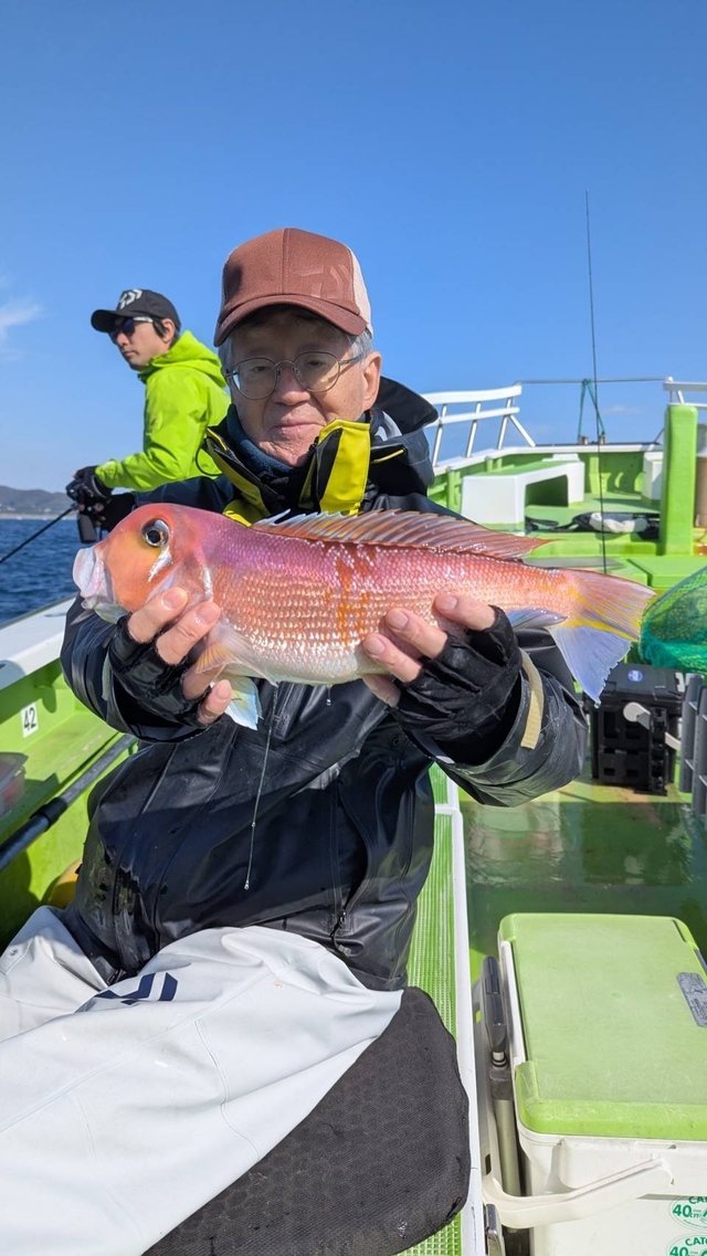 アマダイ(アカアマダイ)