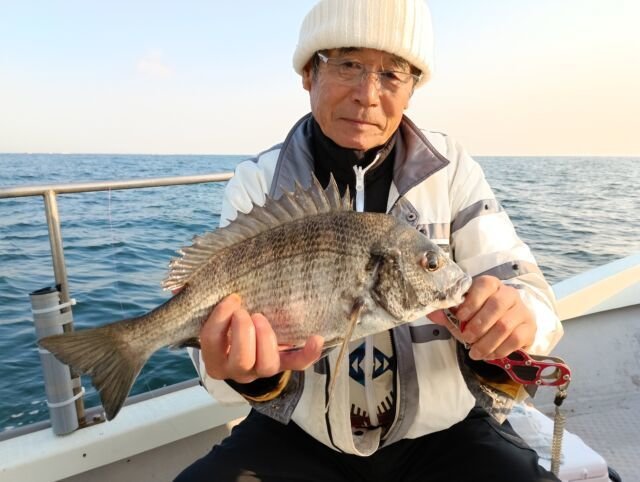 チヌ(クロダイ)