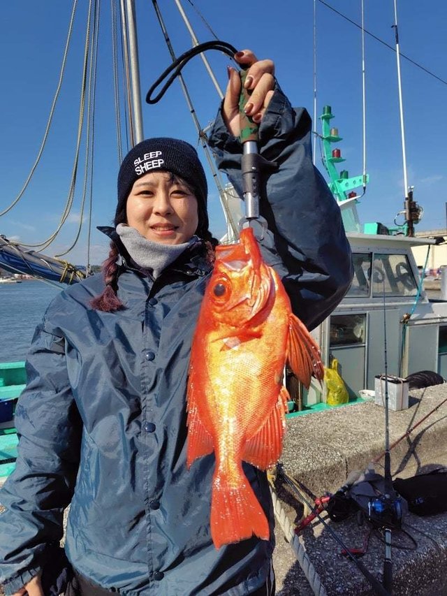 キントキ(チカメキントキ)