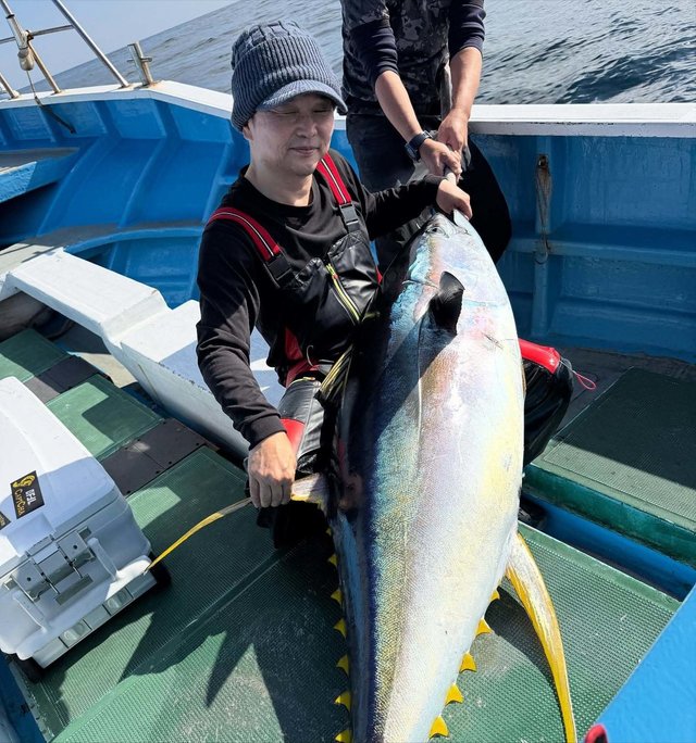 キハダマグロ(キハダ)