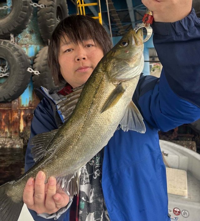 シーバス(スズキ)