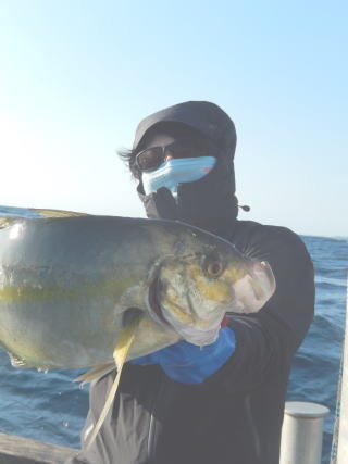 サンパク(ブリ)