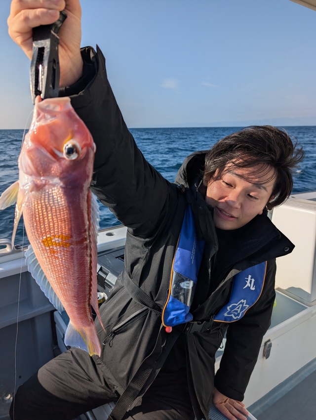 アマダイ(アカアマダイ)