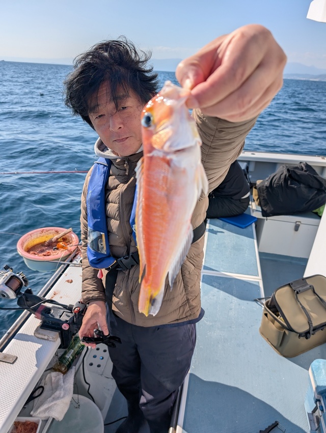 アマダイ(アカアマダイ)