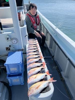 マダイ・コダイ(マダイ)