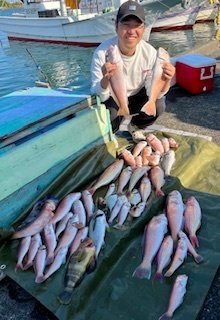 アジ(マアジ)・カイワリ・シロアマダイ・イトヨリ(イトヨリダイ)