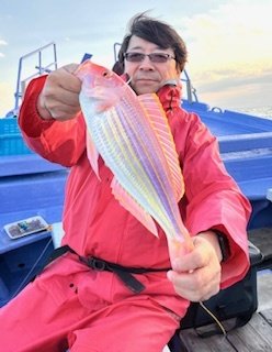 イトヨリ(イトヨリダイ)