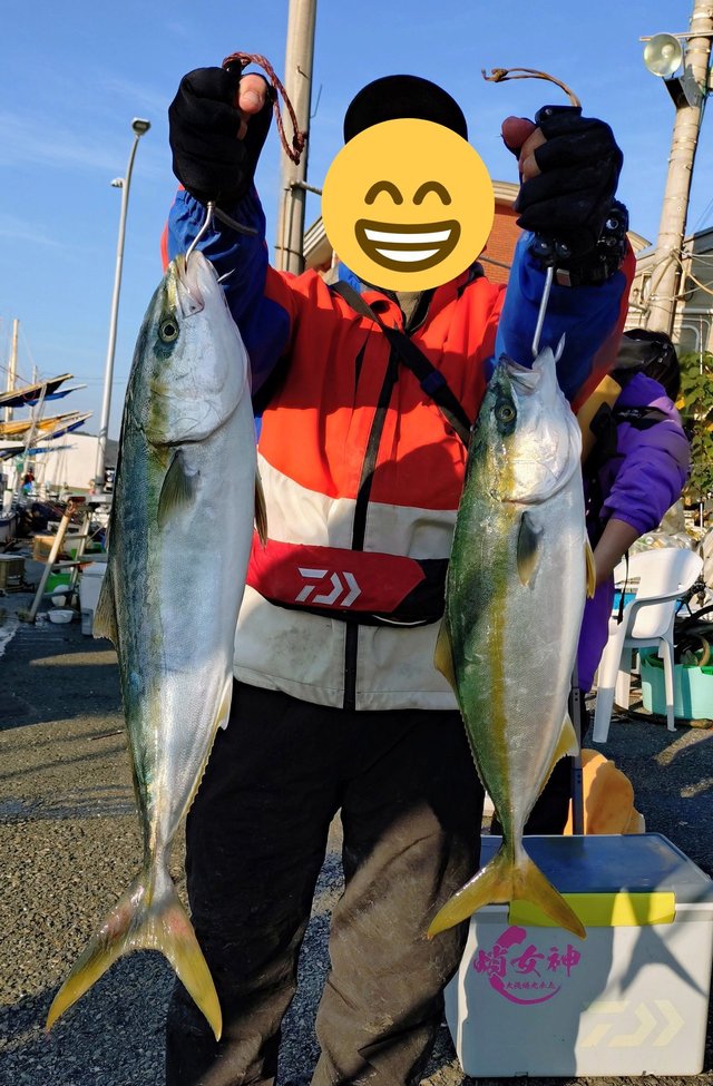 イナダ(ブリ)・ワラサ(ブリ)