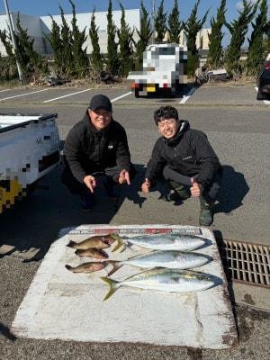 オオモンハタ・メジロ(ブリ)