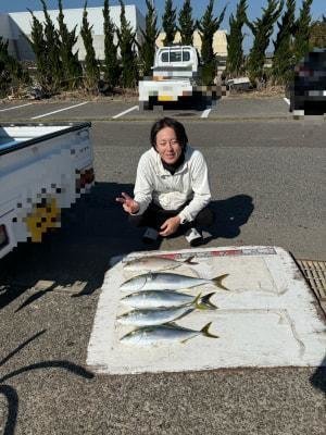 ハマチ(ブリ)・メジロ(ブリ)