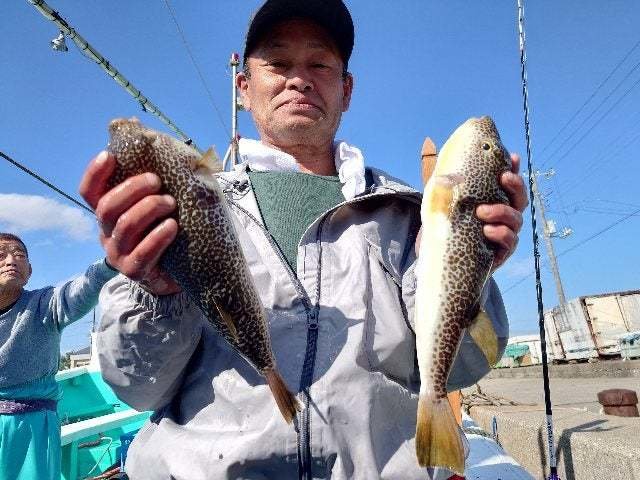 ショウサイフグ