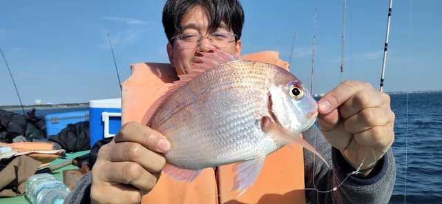 ハナダイ(チダイ)