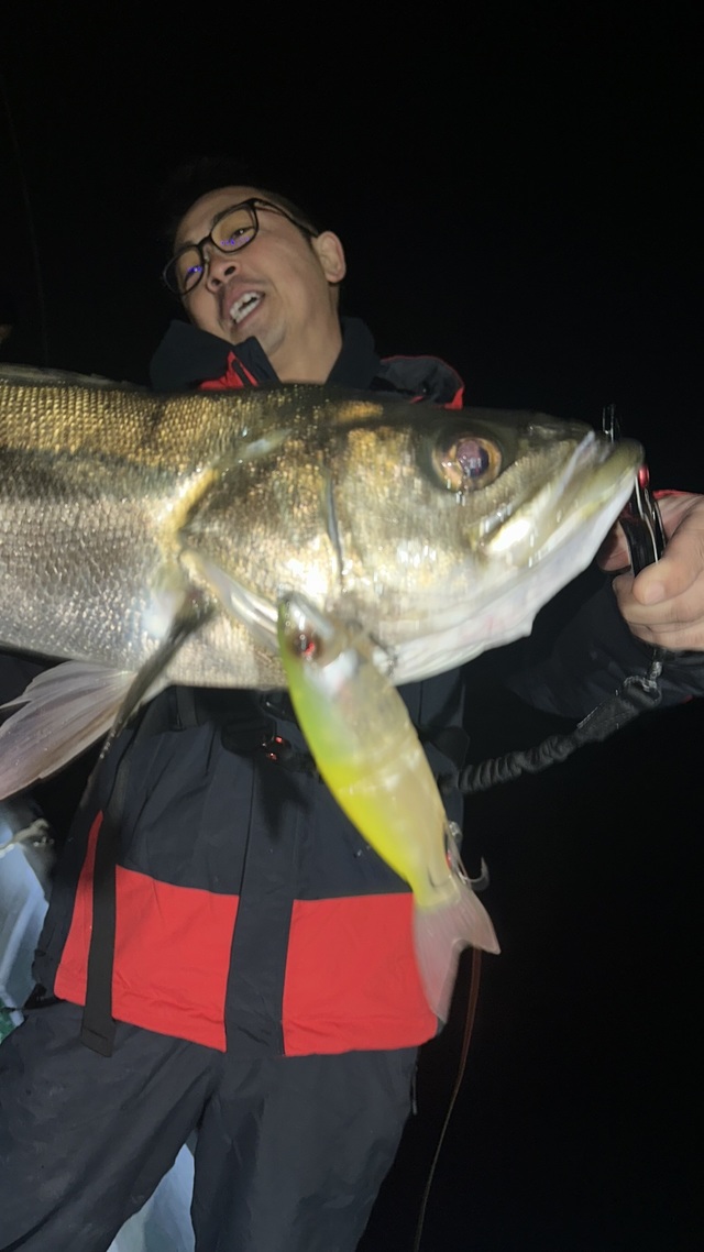 シーバス(スズキ)