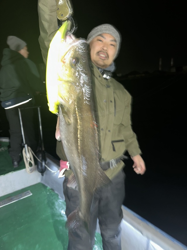 シーバス(スズキ)