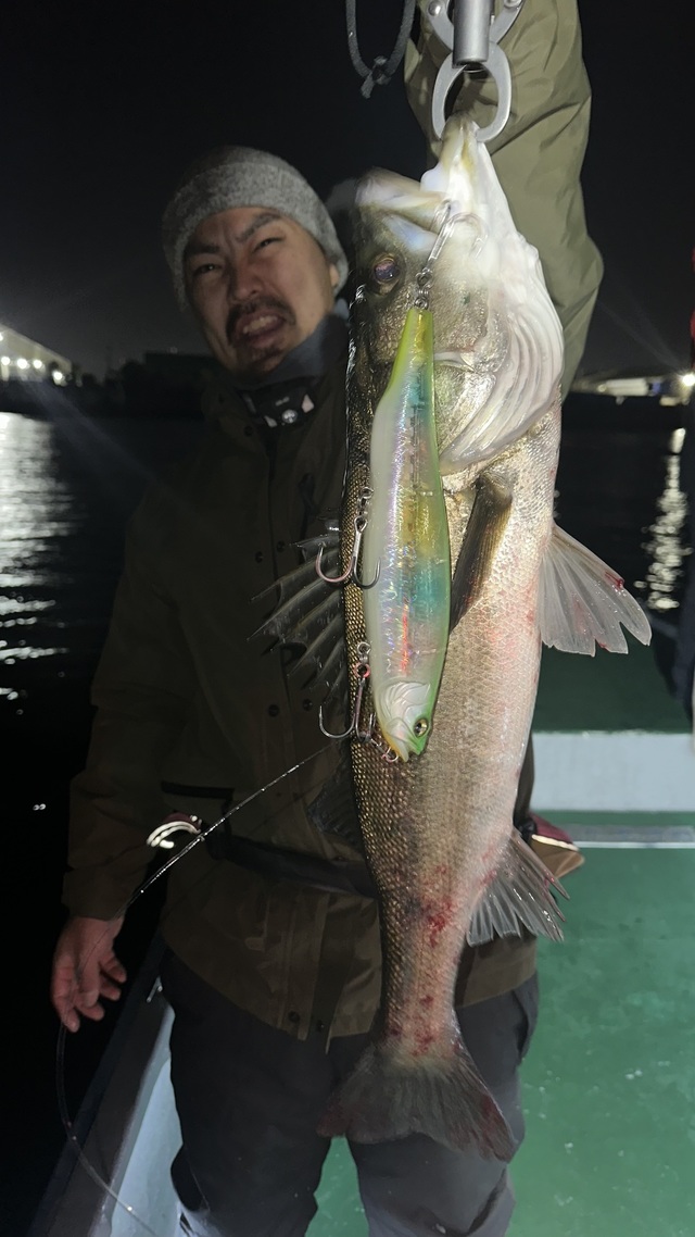 シーバス(スズキ)