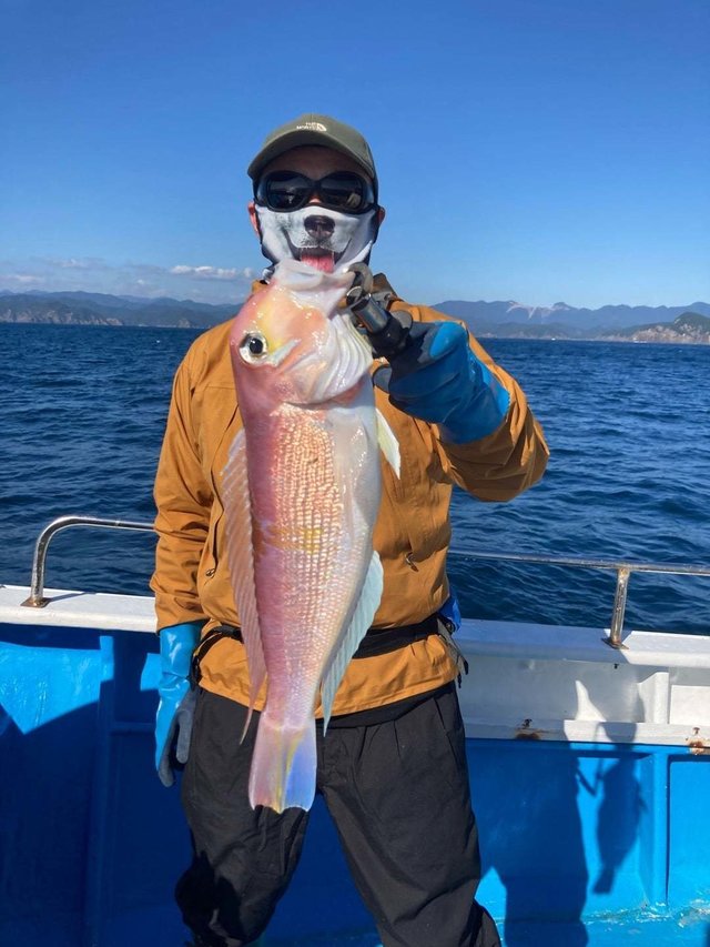 アマダイ(アカアマダイ)