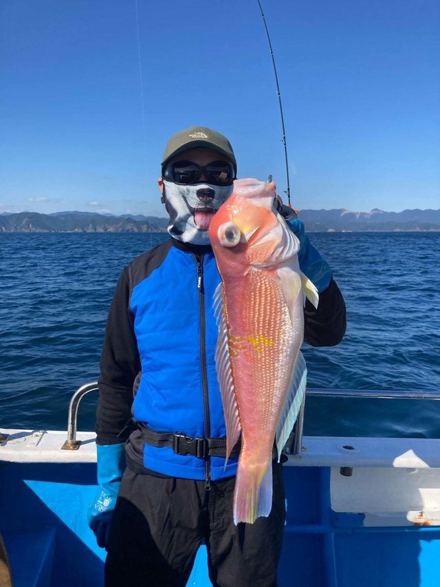 アマダイ(アカアマダイ)