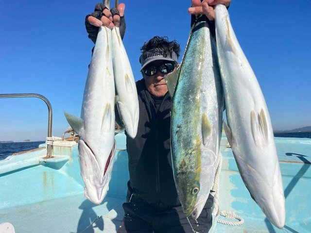 ブリ・ワラサ(ブリ)