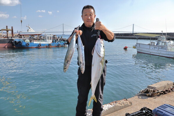 ブリ・メジロ(ブリ)